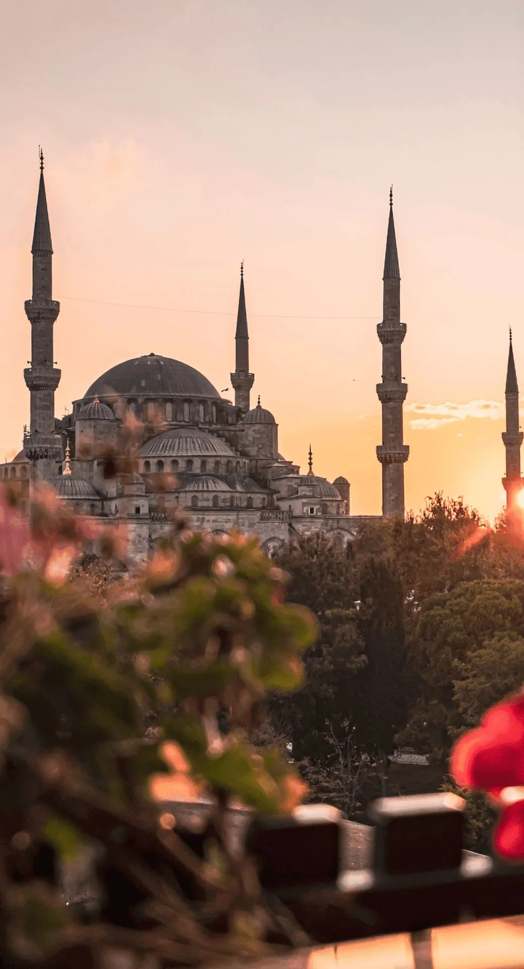 Türkiye - citizenship by investment